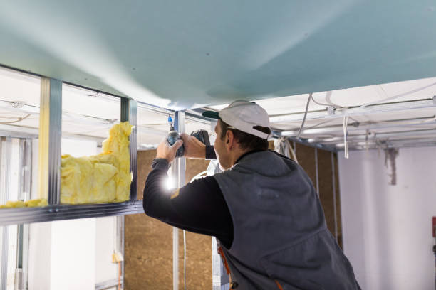 Best Wall Insulation Contractor  in Santa Clara, UT