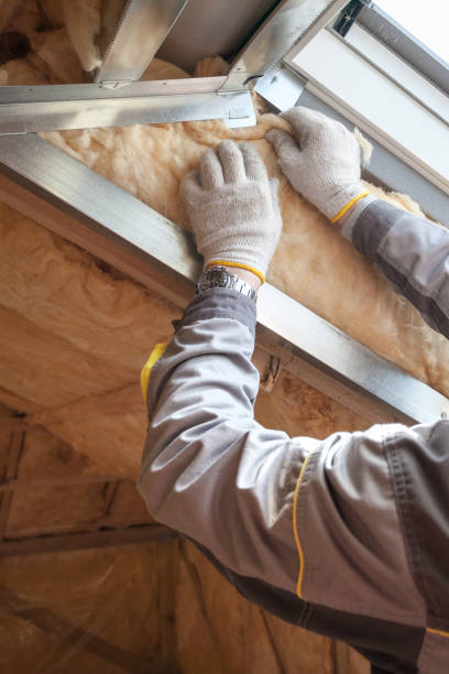 Best Insulation for New Construction  in Santa Clara, UT