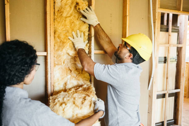 Soundproof Insulation Installation in Santa Clara, UT